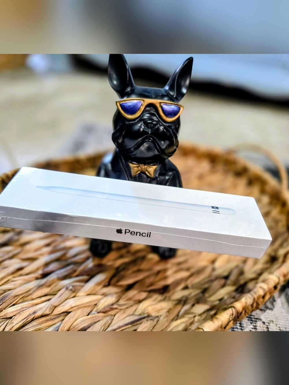 Apple Pencil (1st Generation) - Brand New & Sealed with warranty, NIB Great GIFT